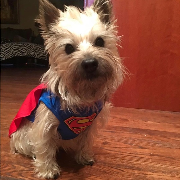 A little about me. - Picture 6 of 16